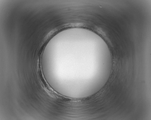 X0000081600110200701151104