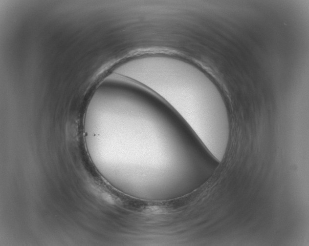 X0000081600111200701151104