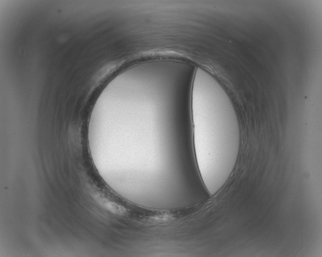X0000081600112200701151104