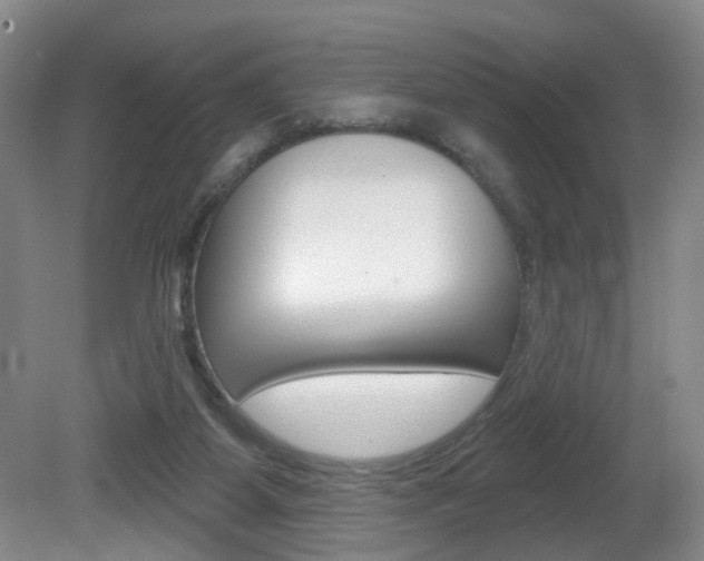 X0000081600115200701151104