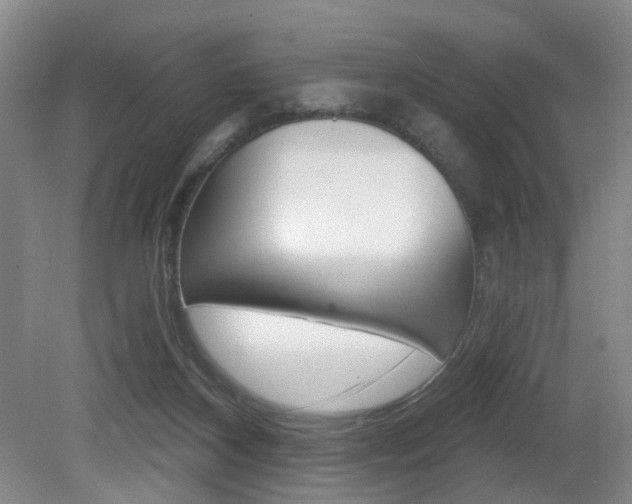 X0000081600116200701151104