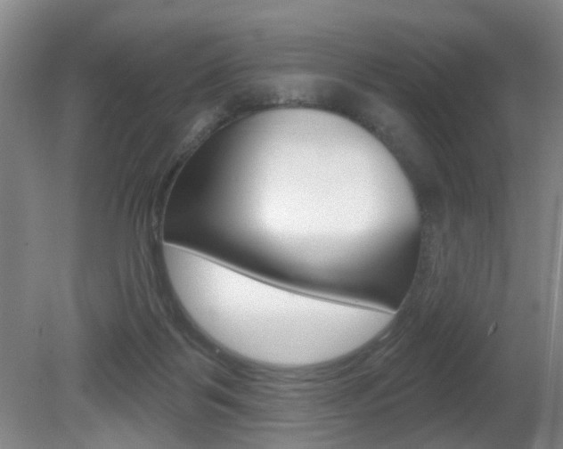 X0000081600123200701151104