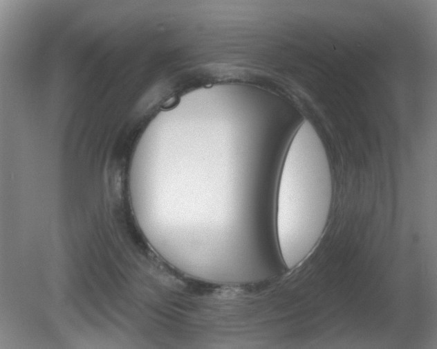 X0000081600124200701151104