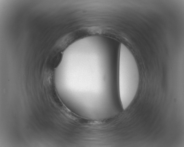 X0000081600125200701151104