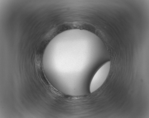 X0000081600129200701151104