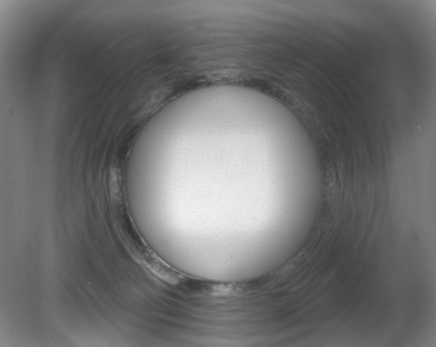 X0000081600130200701151104