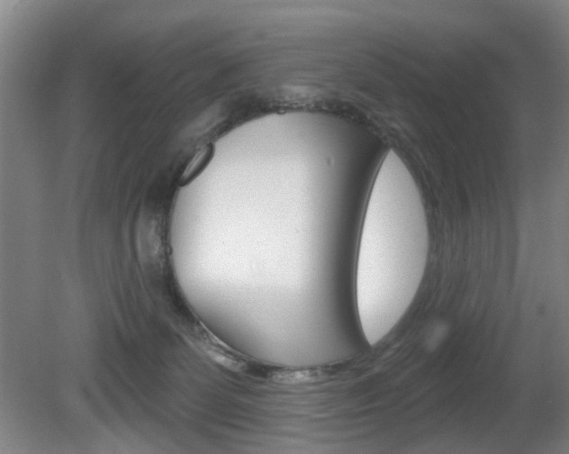 X0000081600131200701151104