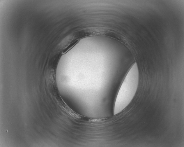 X0000081600141200701151104