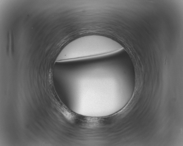 X0000081600144200701151103