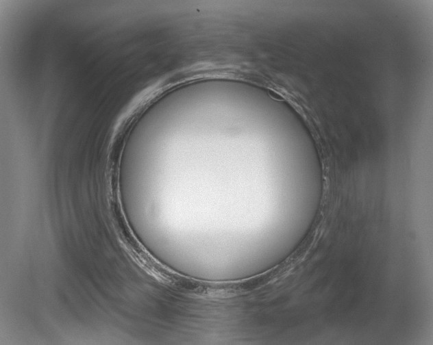 X0000081600149200701151103