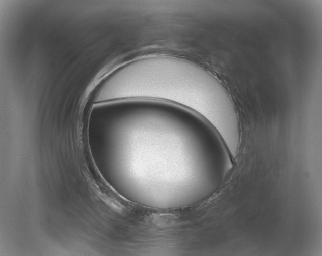 X0000081600150200701151103