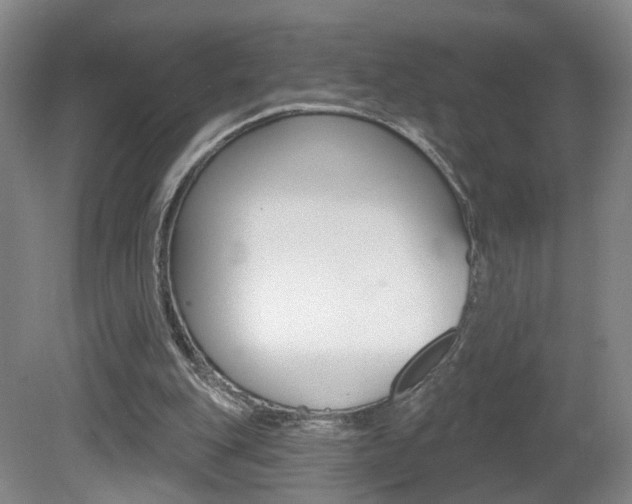 X0000081600151200701151103