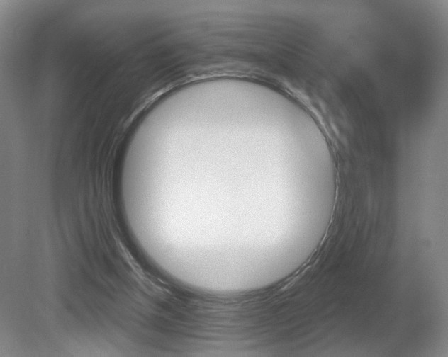 X0000081600154200701151103
