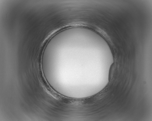 X0000081600155200701151103