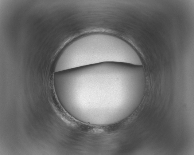 X0000081600159200701151103