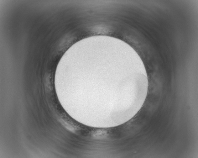 X0000081600162200701151103