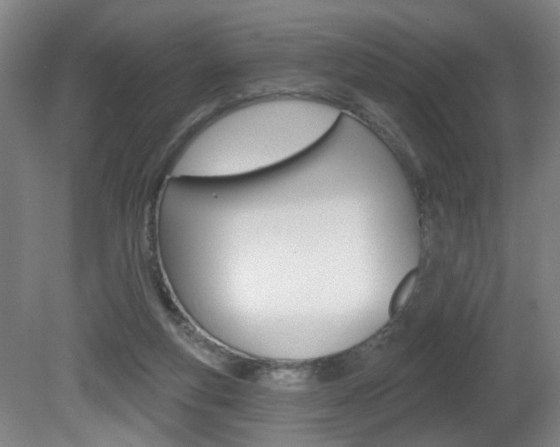 X0000081600163200701151103