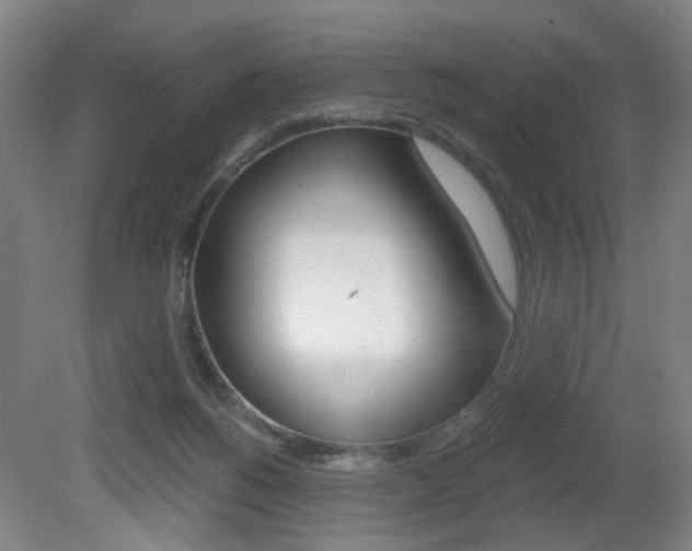 X0000081600168200701151103