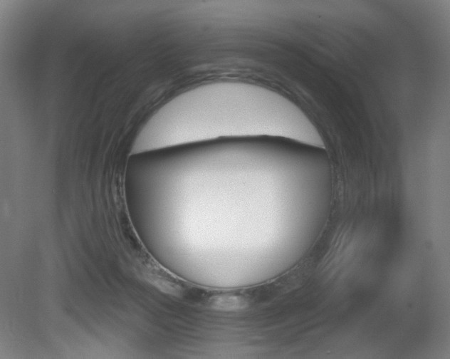 X0000081600169200701151103