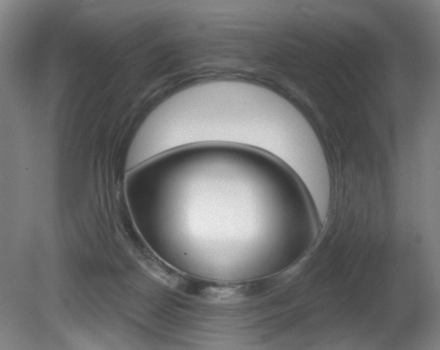 X0000081600170200701151103