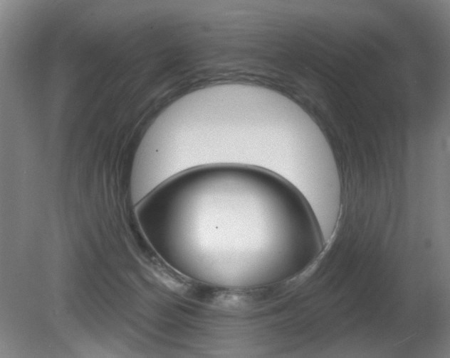 X0000081600174200701151103