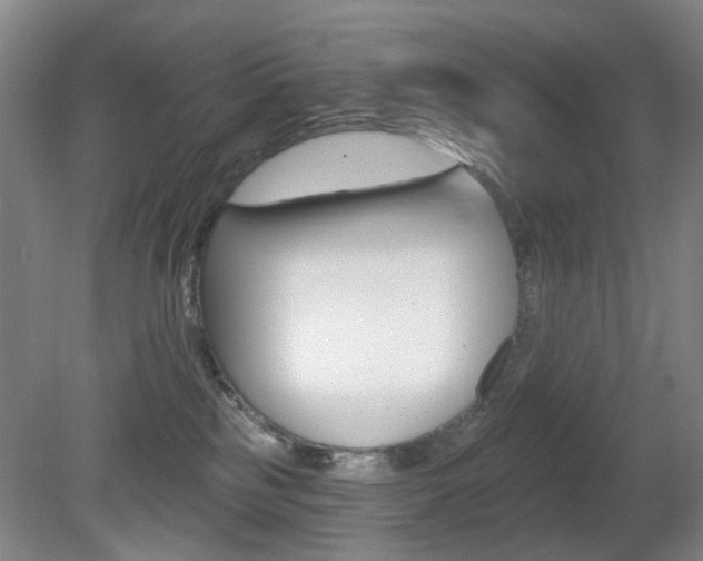 X0000081600185200701151103