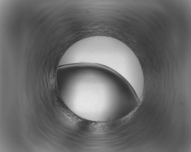 X0000081600186200701151103