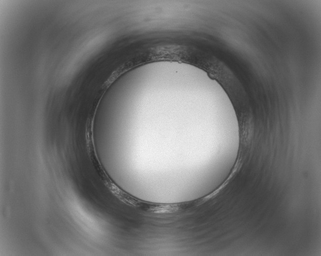 X0000081600191200701151103