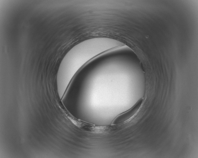 X0000081600192200701151103