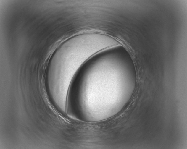 X0000081600193200701151103