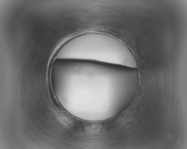 X0000081600196200701151103