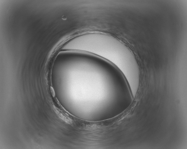 X0000081600197200701151103