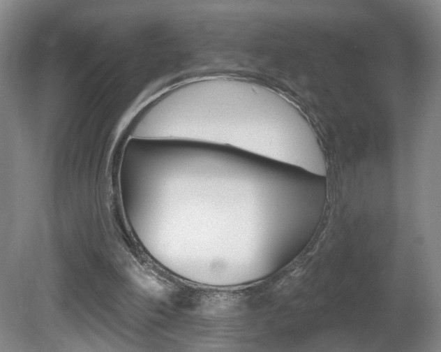X0000081600198200701151103