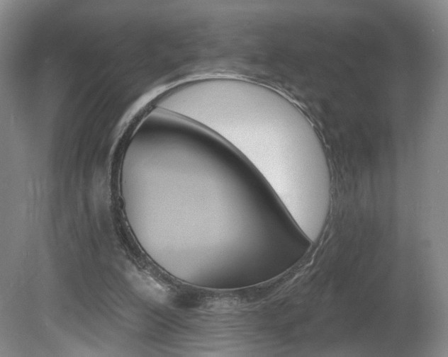X0000081600200200701151102