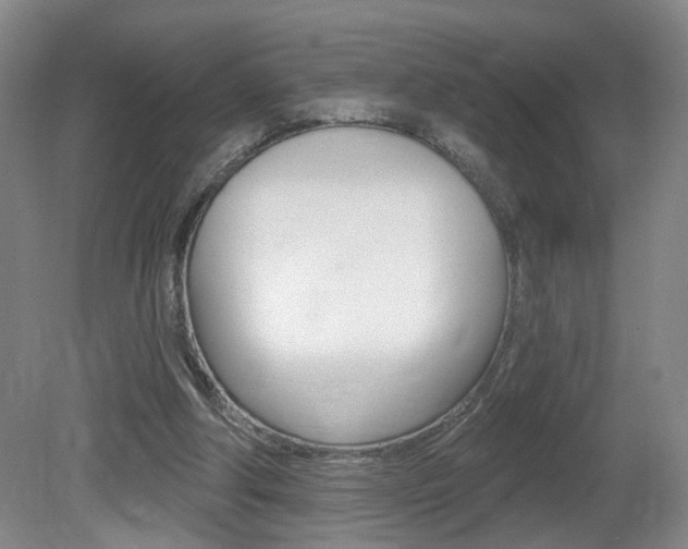 X0000081600202200701151102