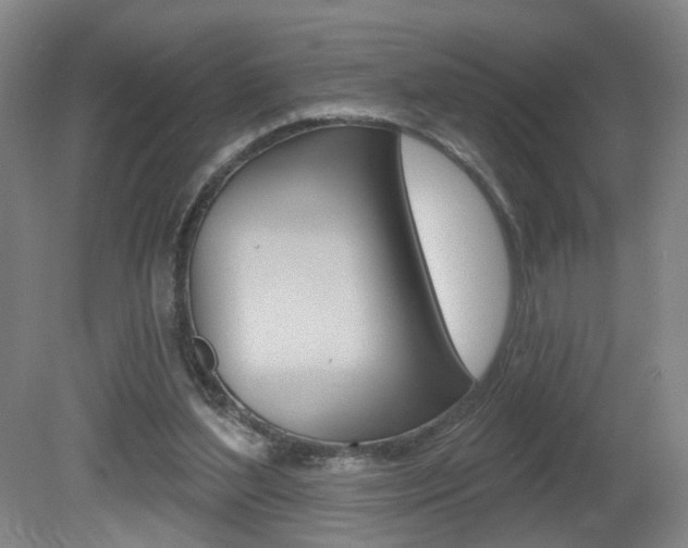 X0000081600204200701151102