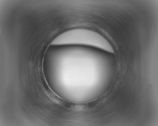 X0000081600209200701151102