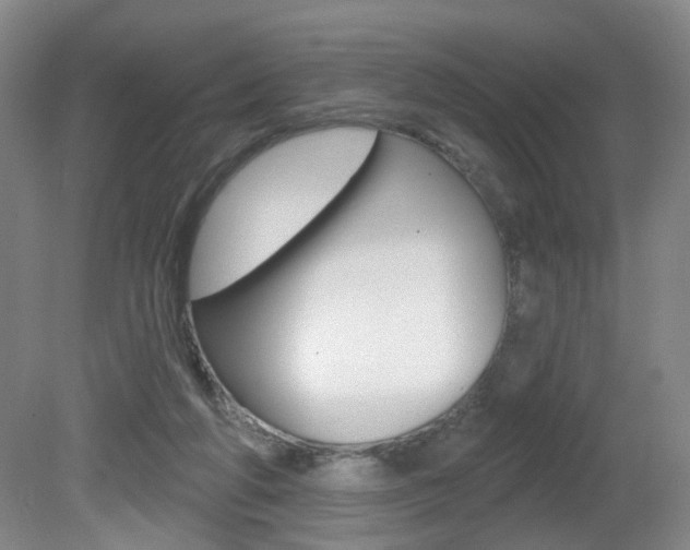 X0000081600210200701151102