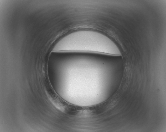 X0000081600212200701151102