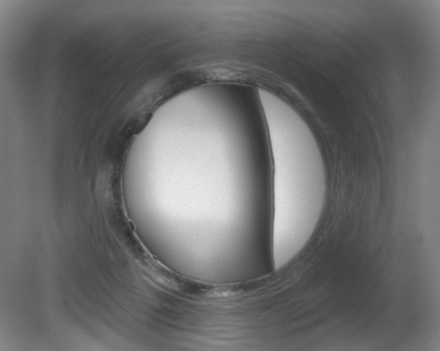 X0000081600217200701151102
