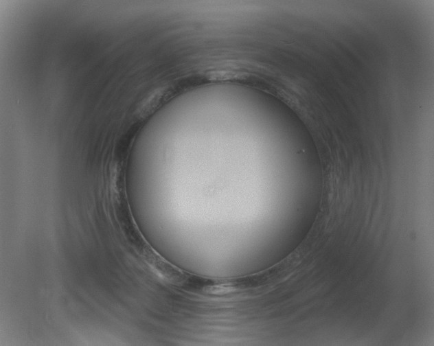 X0000081600219200701151102