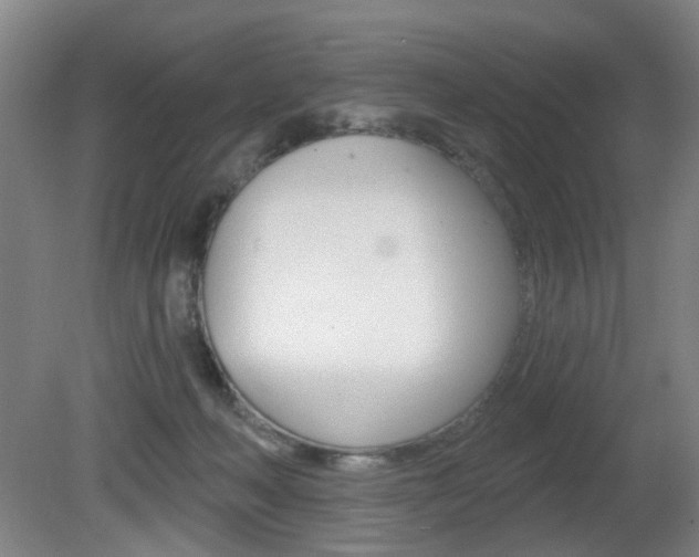 X0000081600222200701151102