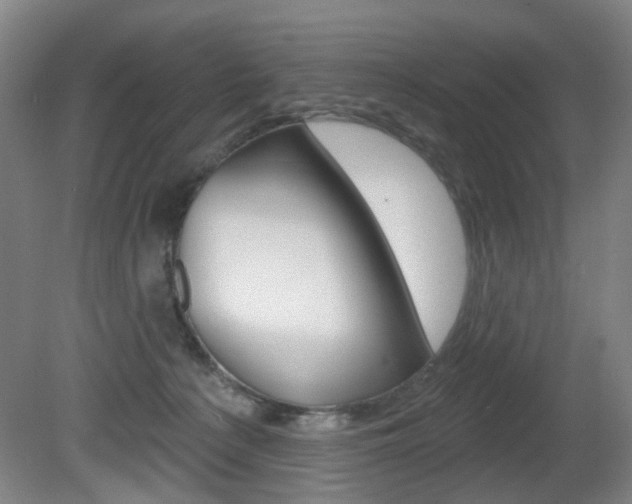X0000081600225200701151102