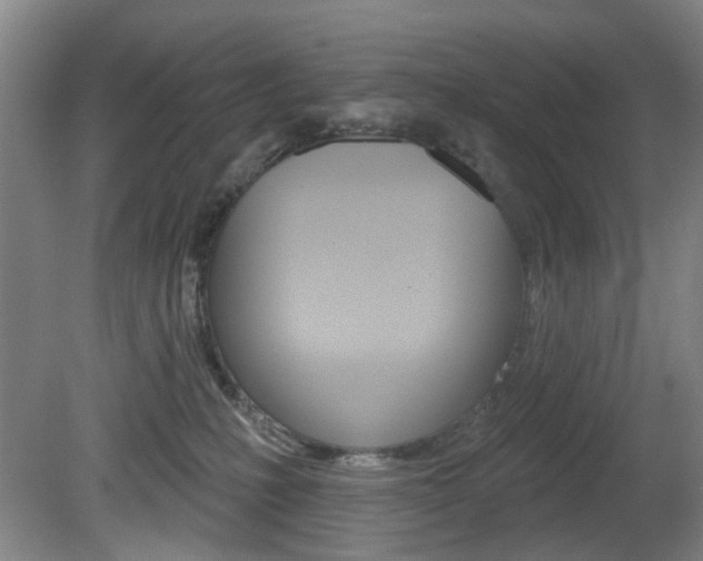 X0000081600231200701151102