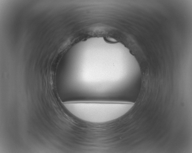 X0000081600232200701151102