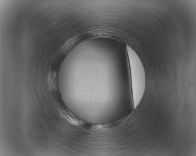 X0000081600239200701151102