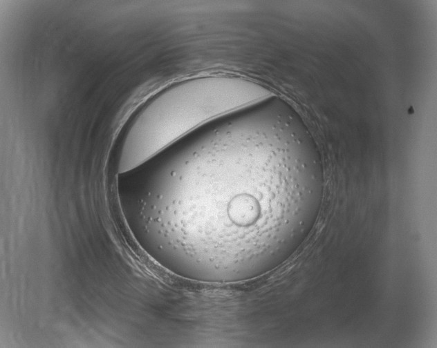 X0000081600242200701151101