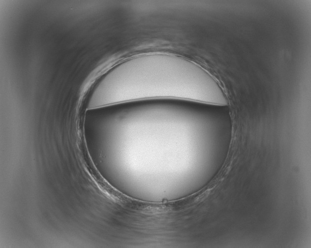 X0000081600245200701151101
