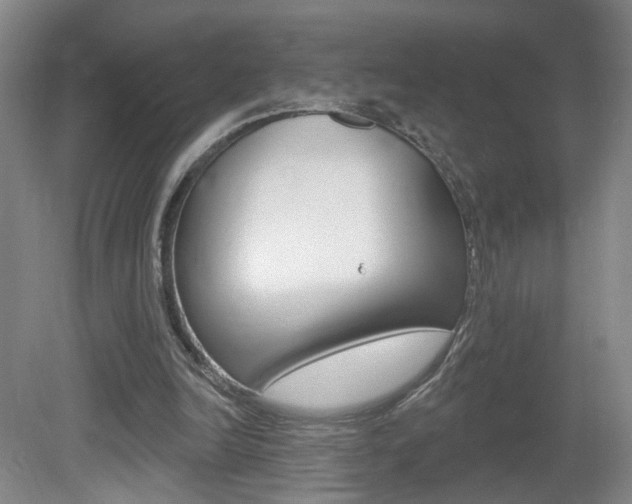 X0000081600246200701151101