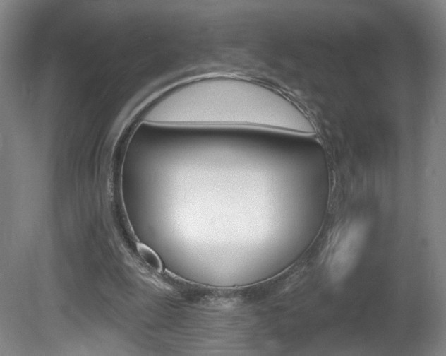 X0000081600247200701151101